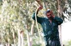 آغاز هفته خوزستان با شرجی