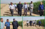 تأکید بر نقش عملیات «داشت» در افزایش تولید تأکید بر نقش عملیات «داشت» در افزایش تولید