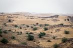 کاهش اعتبارات بیابانزدایی خوزستان به حدود ۱۰ میلیارد تومان کاهش اعتبارات بیابانزدایی خوزستان به حدود ۱۰ میلیارد تومان
