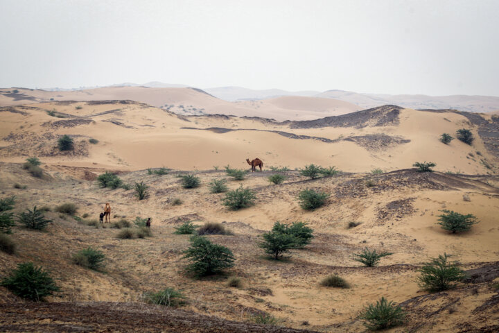 کاهش اعتبارات بیابانزدایی خوزستان به حدود ۱۰ میلیارد تومان