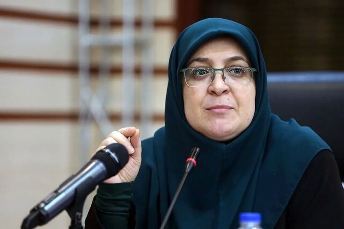 مهاجرانی: دولت با تمام توان به دنبال تأمین منابع لازم برای آغاز بازسازی است