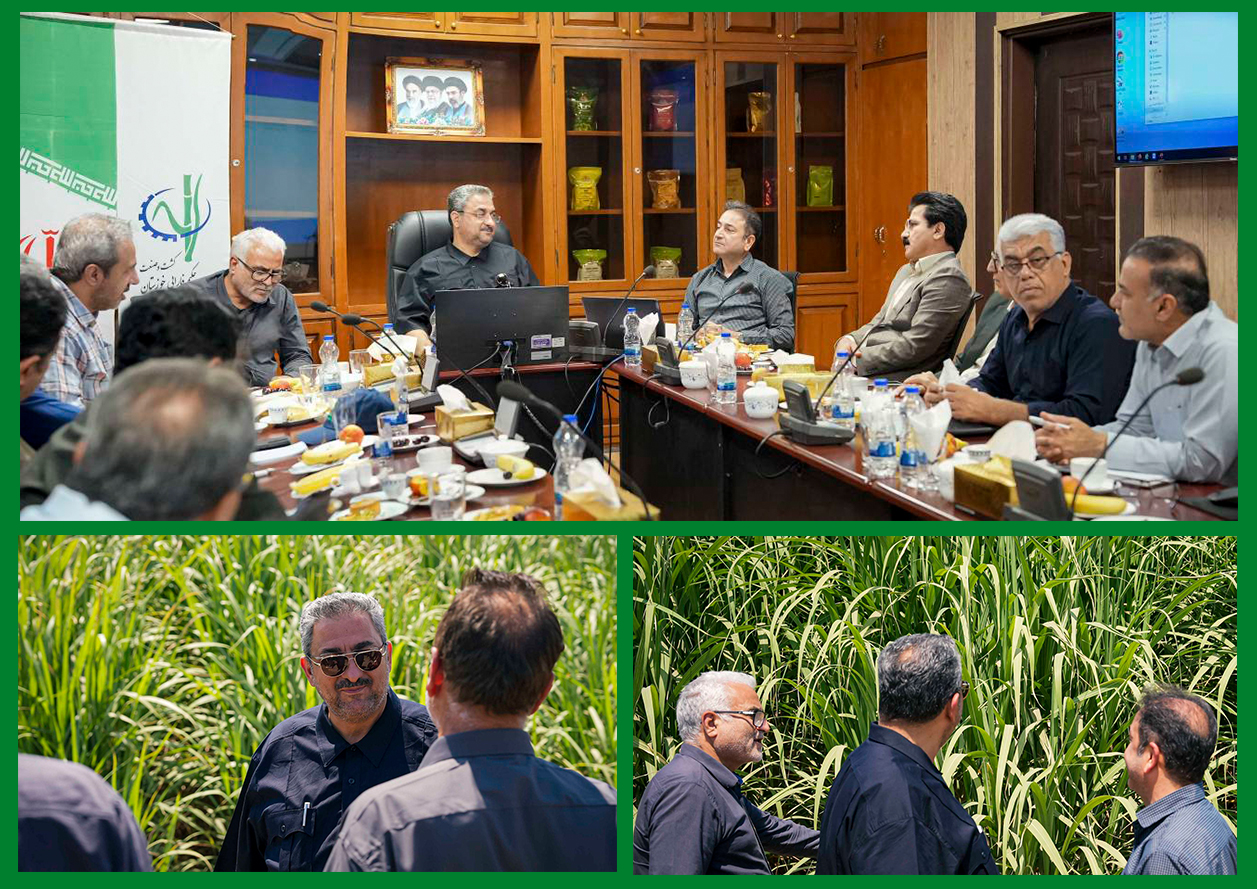 توانمندسازی کسبوکارهای روستایی همجوار نیشکر/توسعه پایدار نیشکر با مشارکت جوامع محلی محقق میشود