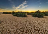 کاهش اعتبارات بیابانزدایی خوزستان به حدود ۱۰ میلیارد تومان کاهش اعتبارات بیابانزدایی خوزستان به حدود ۱۰ میلیارد تومان